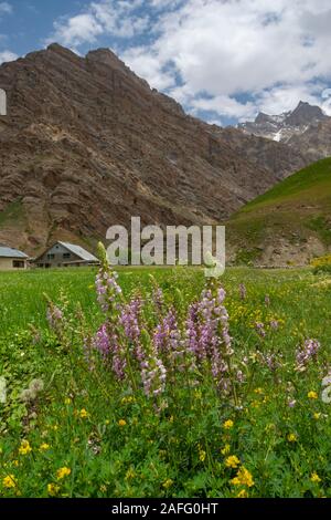 Erste Bergdorf Zojila Pass, Jammu und Kaschmir, Indien Stockfoto