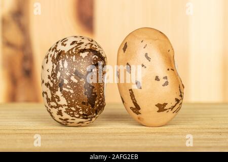 Gruppe von zwei ganze Gefleckte braune Bohne Pinto auf natürlichem Holz Stockfoto