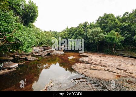 Fast bis Bach im Wald inmitten üppiger Vegetation getrocknet auf Sommer Tag Stockfoto