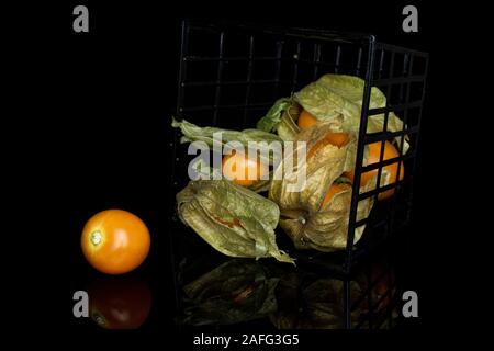 Menge ganze Frische orange Physalis in Kunststoff schwarz Warenkorb auf schwarzem Glas isoliert Stockfoto
