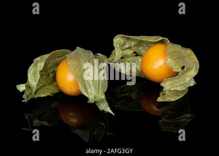 Gruppe von zwei ganze Frische orange Physalis auf schwarzem Glas isoliert Stockfoto