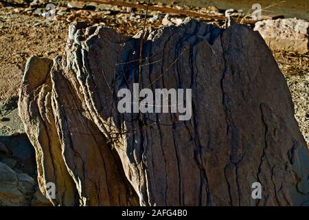 Shoreline immer noch Leben, See Mckinsey, Texas Panhandle. Stockfoto