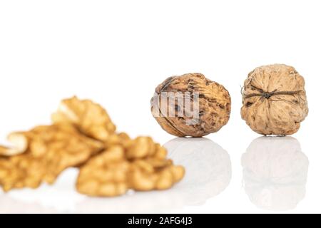 Gruppe von zwei ganze Menge Stücke von frischem brown Nussbaum zurück Fokus auf weißem Hintergrund Stockfoto