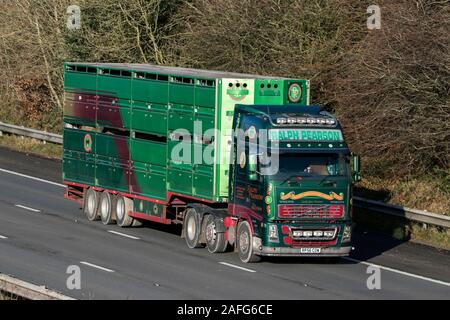 Ralph Pearson Viehtransport fahren auf der M61-Autobahn in der Nähe von Manchester, Großbritannien Stockfoto