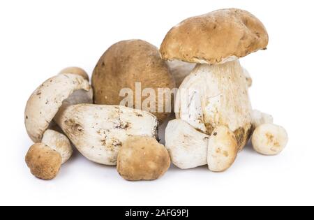 Frische Porcinis (raw) isoliert auf weißem Hintergrund (selektive Fokus) Stockfoto