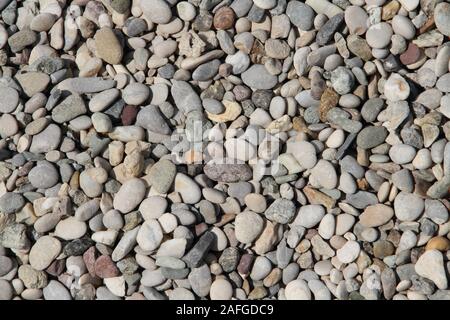 Bunte Kieselsteine am Strand Stockfoto