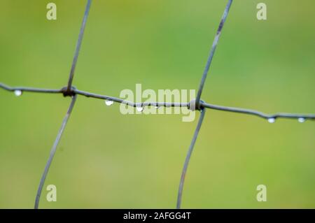 Regen fällt auf draht zaun Stockfoto