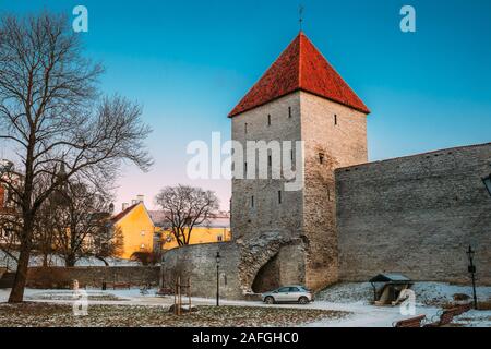 Tallinn, Estland. Ehemaliges Gefängnis Turm Neitsitorn in der Altstadt von Tallinn. Mittelalterliche Jungfrauenturm im Winter Abend. Ein Teil der Stadt Tallinn Wand. Alte Mauern zu hoch Stockfoto