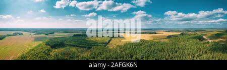 Luftaufnahme der landwirtschaftlichen Landschaft mit Feldern und Wald im Frühling. Schöne ländliche Landschaft in Vogelperspektive. Stockfoto