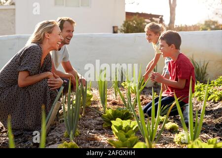 Kinder Eltern helfen zu schauen nach dem Gemüse auf Zuteilung Stockfoto