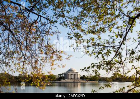 Jefferson Memorial umgeben von Wasser und Grün unter einem blauen Himmel in Washington Stockfoto