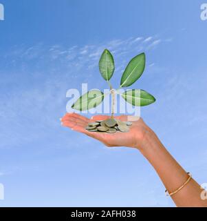 Palm mit einem Baum growng vom Stapel von Münzen Stockfoto