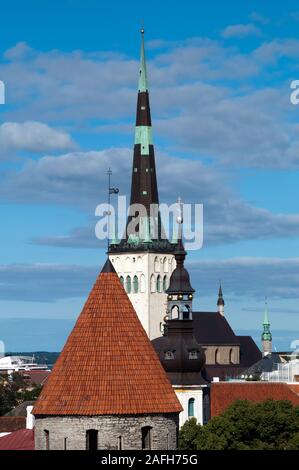 Tallinn Estland, Blick über die Dächer von St. Olaf Baptist Church Stockfoto