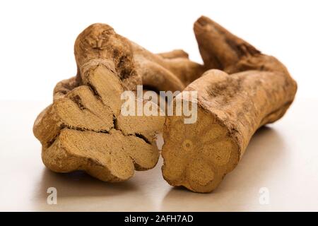 Die traditionelle Medizin Ayahuasca. Banisteriopsis caapi Holzstücke. Medizinische natürliche Psychedelika, Enteogens. Stockfoto