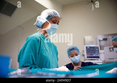 Weibliche Op-Team die Arbeit an Patienten im Krankenhaus Op Stockfoto