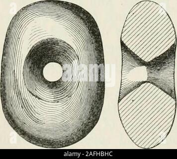 . Die alte steinerne Werkzeuge, Waffen und Schmuck, von Großbritannien. byuse. Ich habe eine andere eher kleiner und mehr nierenförmigen Hammer, auch etwas an den Enden abgenutzt, bei Willerby Carr gefunden, in der EastRiding Yorkshire. Pfr. W. Greenwell, F.A., besitzt eine große Muster, madefrom einen Kiesstrand, 7 Zoll lang und 4 J Zoll breit, und fand atSalton, im Norden Reiten. Abb. 156 zeigt eine kleinere Auswahl vom selben Typ, aber eher in Grenzen, und mit der Welle-Loch muchmore Bell eine Riesenüberraschung. Das Original ist in myown Sammlung und wurde gefunden, in der Nähe von Littlep RedmoreFen Stockfoto