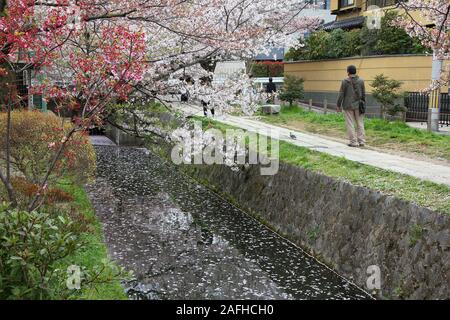 KYOTO, Japan - 16. APRIL 2012: Besuch der Philosoph Pfad in Kyoto, Japan. Der Weg am Kanal ist eines der beliebtesten Cherry Blossom beobachten dest Stockfoto