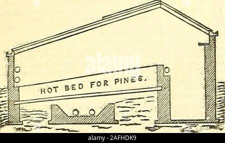 . Die Gärtner' Chronik und Landwirtschaftliche Zeitung. ein, und ein Blumengeschäft, 14, Abtei Chorch-Hof, Bad, 754 DIE GÄRTNER CHRONIK [Nov. 30, • Der ROSENZÜCHTER. Wollte, ein Qaantity von Moos, CAB - BAGE und SPRING ROSE SCHICHTEN verwurzelt; auch die samesorts thit haben Einzelbetten eins seid&r, und fit für presentpot - tinff. - Direkt, wenn durch Brief, Post, Preis pro 100, toI*. J. Buck, 14, Sommerford - Grove, Stoke Newiiigton-Straße, nearIrijndoiij ^^Green und TREIBHÄUSER, stark gebaut, an folgenden niedrigen j^ Cale der Preise: - Lean-R^ofs, 12 feetby 8 Ifi.. 16 durch 8, La;;;;;;;; 20 von 10. 20 J.; 20, 12, 24!. ;^4 b Stockfoto