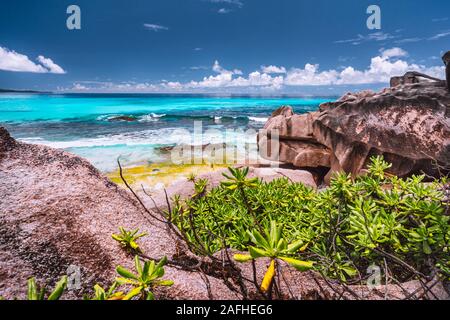 Beeindruckende Granitfelsen im Dschungel der Anse Source D'Argent auf La Digue Island, Seychellen Stockfoto
