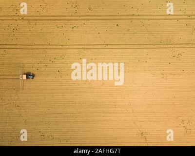 Traktor sprühen Ernten in Feld, Luftaufnahme von Drone pov Stockfoto