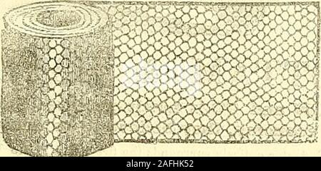 . Die Gärtner' Chronik und Landwirtschaftliche Zeitung. nd ist Pathonised durch herMajesty und Prinoe Albebt, der Adel, Architectsof Clergv, Eminenz, Ingenieure, Bauherren, Railwf "y Contraotore, undder Öffentlichkeit im Allgemeinen. Es ist geeignet ^ oder Chimuey-Stücke, Pier - Tischplatten. Vasen. Tinte - trajs und Ornamenten aus verschiedenen de-scriptions, BilJtard - Tabellen, Badewannen, Waschbecken. andDressing-Tabelle Fächer, Gartenmöbel, Kandelaber, Spalten, Monu- rungen. Kopf Steine, Wandbild Tabletten, Pilaster, Sockeln, Schriftarten, Grand i^taircaees. Baluster. &Lt;tc., und es wird nur die Murmeln in die gewöhnliche Verwendung aber alle Th zu representnot Stockfoto