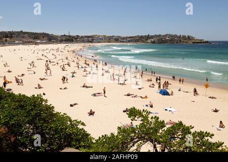 Menschen, die im Sommer die Sonne am Bondi Beach, Sydney, New South Wales, Australien genießen Stockfoto