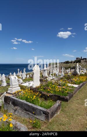 Waverley Friedhof Sydney, Australien, an der Küste in Sydney, Australien Stockfoto