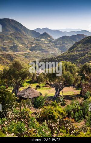 Äthiopien, Tigray, K'Eyih, Gehöft unter terrassenförmigen landwirtschaftliche Felder in einer spektakulären Landschaft zur Erntezeit Stockfoto
