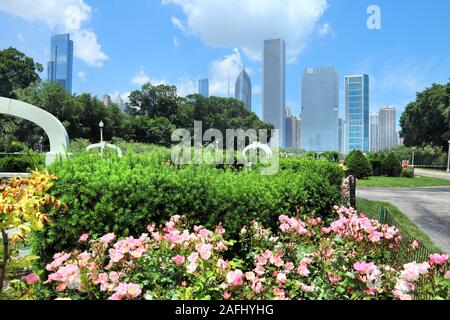 Chicago Skyline von Rosengarten im Grant Park gesehen. Stockfoto