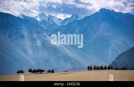 Ausflug in die Sanddünen von Nubra Valley, Ladakh Stockfoto