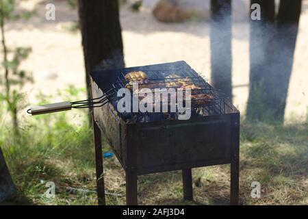 Rohes Fleisch auf dem braizer im Wald am Spieß Stockfoto