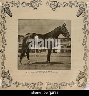 . Züchter und Sportler. Band L. Nr. 17. Samstag, 27. April 1907. Abonnement $ 3.00 eine Träne. Der Züchter und Sportler [Samstag, 27. April 1907. Stromkreis des südlichen Kalifornien San Diego 21. Juni und 22. 21. Juni bis 6. Juli 1907 San Bernardino Juni 26., 27., 28. und 29. Los Angeles Juli 3, 4, 5 und 6 Einträge zu dem Spiel Rennen in der Nähe Mittwoch, Mai 1st, 1907 Einträge zu GELDBEUTEL RENNEN SCHLIESSEN Samstag, Juni 1st, 1907 IN SAN DIEGO. 1 - 2:20 KLASSE TBOTTING BETEILIGUNG 31000 Ho. 2 - 2: 20 KLASSE STIMULATION ANTEIL $ 1000. 3 - 2:13 KLASSE TBOTTING GELDBÖRSE $ 500. 4 - 2:13 Klasse Stimulation - PUESE $ 500. 5 - 2:08 KLASSE STIMULATION FUB5E § 500 Ad Stockfoto