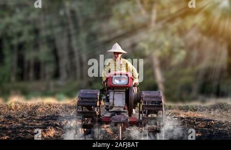 Frau Bauer über die Wandern Traktor für die reispflanze im regnerischen am schönen die Sonne über Einstellung im Hintergrund, ländliche Landschaft zu pflügen, Thail Stockfoto