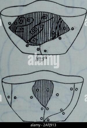 . Boletín de La Academia Nacional de la Historia. F./51 Stockfoto