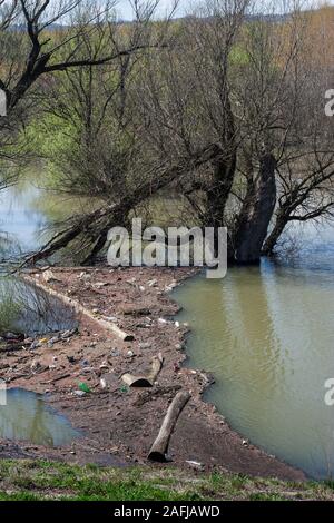 Holz und Müll im Wasser nach der Flut Stockfoto