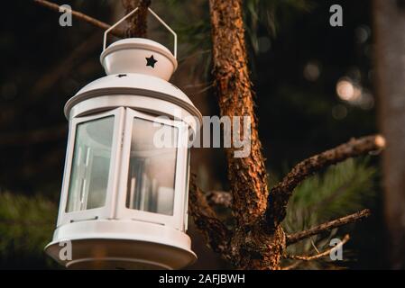 Vintage Öllampe an ein Holz gehängt. Wunderschöne Aussicht auf dunklen Wald und See in der Nacht. Wanderer, Reisen, Outdoor Konzept Stockfoto