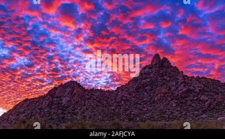 Fiery und bunten Arizona Sunset am Pinnacle Peak Park in Scottsdale. Stockfoto