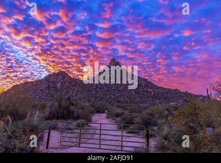 Fiery und lebendige Arizona Sunset am Pinnacle Peak Park & Trail in Scottsdale. Stockfoto