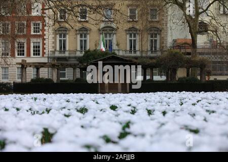 Die Je nach Garten in Grosvenor Square, London, die sich mit Tausenden leuchtenden Rosen im Speicher der abwesenden Freunde und Familie gefüllt ist. Stockfoto