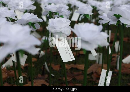 Eine Nahaufnahme einer Meldung an eine Rose im Je nach Garten in Grosvenor Square, London, die sich mit Tausenden leuchtenden Rosen in Erinnerung an Freunde und Verwandte Links gefüllt ist. Stockfoto