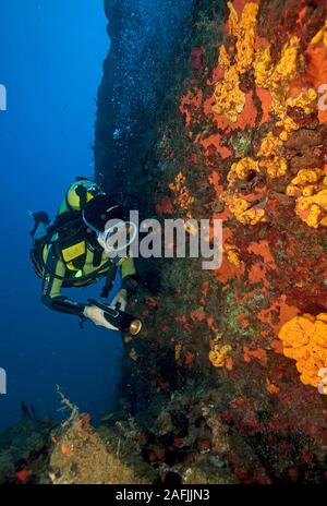 Scuba Diver an einem felsigen Riff mit roten mediterranen Schwämme (Spirastrellidae), Bodrum, Türkei Stockfoto