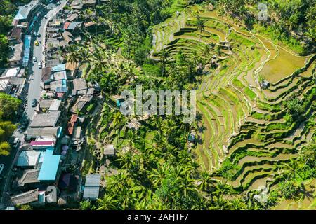 Luftaufnahme von Terrassierten Reisfelder Bali, Indonesien. Stockfoto