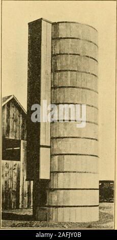 . Betonsilos Daube, Brooks Patent;. frühen sowie von Vieh als Indische cornsilage. Es ist in etwas smalleramounts als dieses gegessen, z. B. für Milchkühe twentyto 25 Pfund pro Kopf täglich ist ein aver - alter ernähren. In Kansas wurde festgestellt, dass kafirsilage Zweite zu maissilage als feedfor Milchkühe geordnet und, dass es besser ist, als Sorg - hum Silage für die Produktion von Milch. In trockenen, heißen Abschnitte, wo die Korn-sorghum giverelatively große Erträge und wo Indische corncan nicht erfolgreich angebaut werden, die diese Pflanzen willdoubtless übernehmen große Bedeutung im Thefuture als silagegut auf Milchprodukte Stockfoto