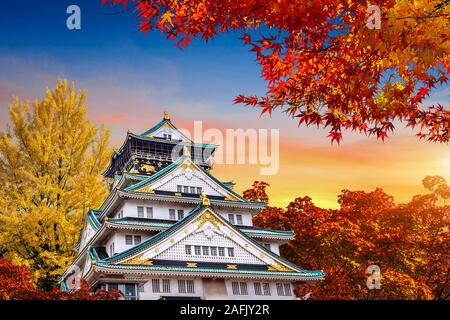 Herbst und Schloss in Osaka, Japan. Stockfoto