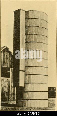 . Betonsilos Daube, Brooks Patent;. frühen sowie von Vieh als Indische cornsilage. Es ist in etwas smalleramounts als dieses gegessen, z. B. für Milchkühe twentyto 25 Pfund pro Kopf täglich ist ein aver - alter ernähren. In Kansas wurde festgestellt, dass kafirsilage Zweite zu maissilage als feedfor Milchkühe geordnet und, dass es besser ist, als Sorg - hum Silage für die Produktion von Milch. In trockenen, heißen Abschnitte, wo die Korn-sorghum giverelatively große Erträge und wo Indische corncan nicht erfolgreich angebaut werden, die diese Pflanzen willdoubtless übernehmen große Bedeutung im Thefuture als silagegut auf Milchprodukte Stockfoto