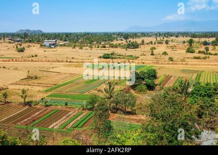 Grüne bewässerten Kulturen wächst auf flachen Flächen östlich der Provinzhauptstadt bei einem schweren trockener Jahreszeit; Kampot, Provinz Kampot, Kambodscha. Stockfoto