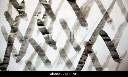 Schwarze Schilder mit Gouache und Pinsel gezeichnet. Stockfoto