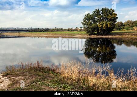 Landschaft am Eingang Albert Port in Dresden, im Hintergrund die Brücke Flugelwegbrucke Stockfoto