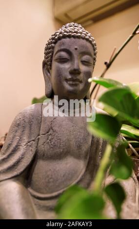 Abbildung und die Statue des Buddha im Inneren der Wohnung mit grünen Pflanzen drinnen und Baum im Zimmer. Yoga meditation Studio zen Skulptur Dekoration. Stockfoto