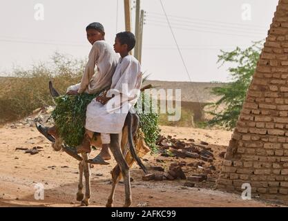 Khartum, Sudan, Ca. Februar 8., 2019: Jungen, der auf einem Esel mit grünen Pflanzen durch ein Dorf in der Wüste geladen Stockfoto